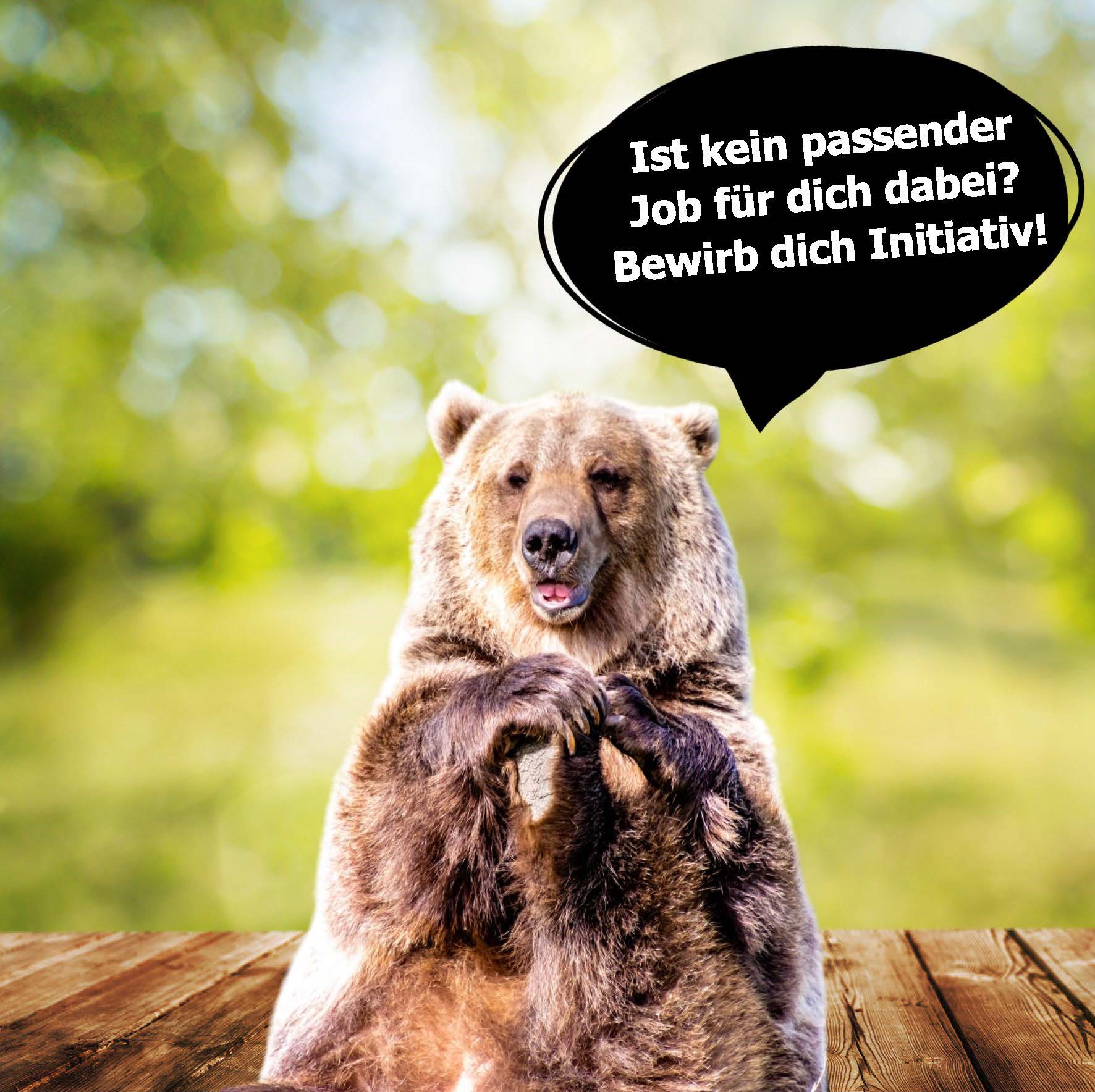 Initiativbewerbung